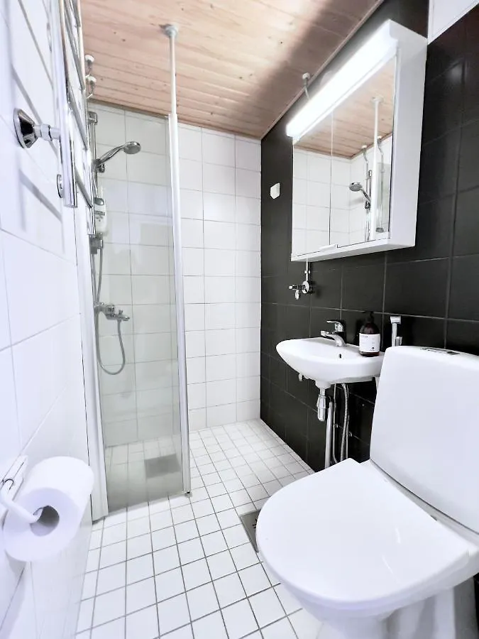 Lovely Central Apartment Helsinki